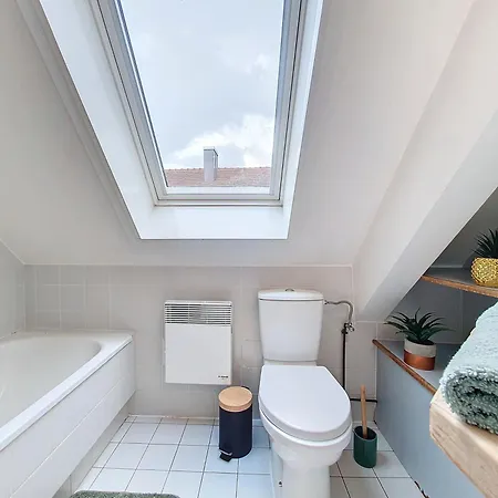 Skyward - Hypercentre - Confort - Rue Pietonne - Calme - Authentique דירה שטרסבורג