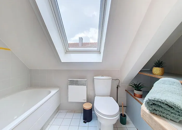 Skyward - Hypercentre - Confort - Rue Pietonne - Calme - Authentique Apartment Strasbourg